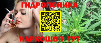 мет Ливны