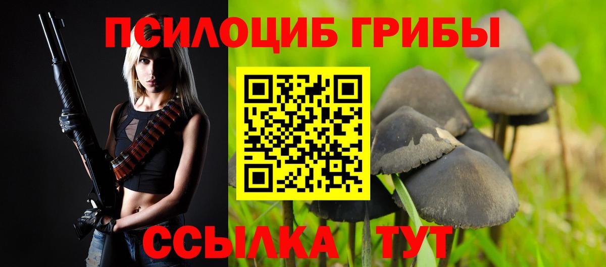 Галлюциногенные грибы MAGIC MUSHROOMS Тобольск
