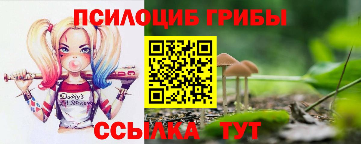 Галлюциногенные грибы MAGIC MUSHROOMS  Вход с VPN  как найти закладки  Тобольск 